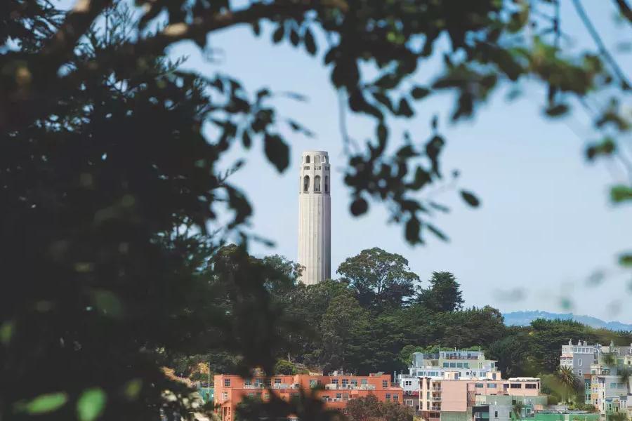 San Francisco's Coit Tower, framed by trees in the foreground.
